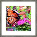 Colorful Queen Scene #1 Framed Print