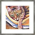 Dreamy Purring Tabby Cat Watercolour Framed Print