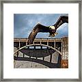 Eagle At The Dam #1 Framed Print