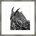 Eagle Owl Black And White #1 Framed Print