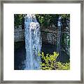 Fall Creek Falls #1 Framed Print