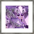 Fractured Zebras #1 Framed Print