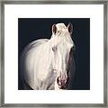 From The Shadows - Horse Art #1 Framed Print