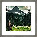Glacier National Park #1 Framed Print