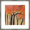 Glowing In The Wind #1 Framed Print