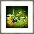 Goldfinch #1 Framed Print