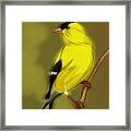 Goldfinch #1 Framed Print