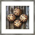 Hand Painted Sourdough Seed Pod Design Quartet 2 #1 Framed Print