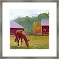 Horse Barn #2 Framed Print