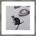 1 Hr., In Prison Of A Noughty Cat On A Sunny Day Framed Print