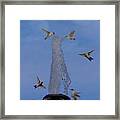 Hummingbird Fountain #2 Framed Print