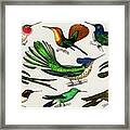 Hummingbirds #1 Framed Print