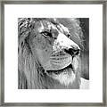 Is This My Good Side #1 Framed Print