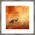 Kangaroo Escaping From Australian Bushfires #1 Framed Print