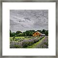 Lavender Fields #1 Framed Print