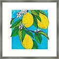 Lemons #1 Framed Print