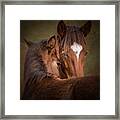 Mare And Foal #1 Framed Print