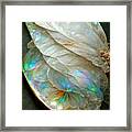 Mother Of Pearl #1 Framed Print