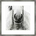 My Heart Ii - Horse Art #1 Framed Print