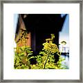 Ore Dock #1 Framed Print