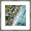 Overhead View Of Trees On Shore By Sea #1 Framed Print