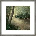 Path To Tranquility Framed Print