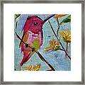 Pink Hummingbird #1 Framed Print