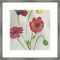 Poppies #1 Framed Print
