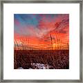 Roots #1 Framed Print