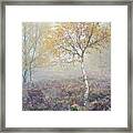 Silver And Gold #1 Framed Print