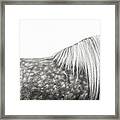 Silver Dapples - Horse Art #1 Framed Print