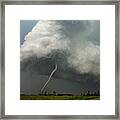 Silver Snake #1 Framed Print