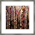 Silvery Aspen Framed Print