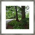 Summer Path #1 Framed Print