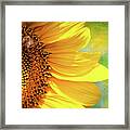 Sunflower #1 Framed Print