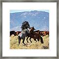 _t__7224 #1 Framed Print