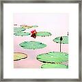 Water Lilies #1 Framed Print