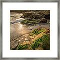 Wave On Rock With Sea Weed At Low Tide,  #1 Framed Print