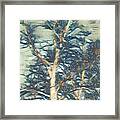 Winter Branches #2 Framed Print