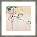 Wisteria And Swallow By Ohara Koson Framed Print