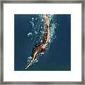 Woman Diving Painted By Jan Keteleer #1 Framed Print