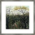 Rendezvous In The Forest #11 Framed Print