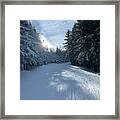 Winter Wonderland #10 Framed Print