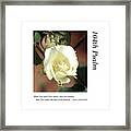 104th Psalm-cotton Bloom 3 Framed Print