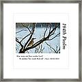 104th Psalm-woodpecker Framed Print