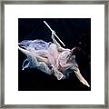 Nina Underwater For The Hydroflute Project #13 Framed Print