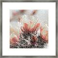 1622 Watercolor Cactus Blossom Framed Print