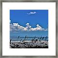 Naples Beach Framed Print