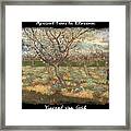 Apricot Trees In Blossom - Vvg Framed Print