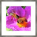 2 Bees Or Not 2 Bees Framed Print